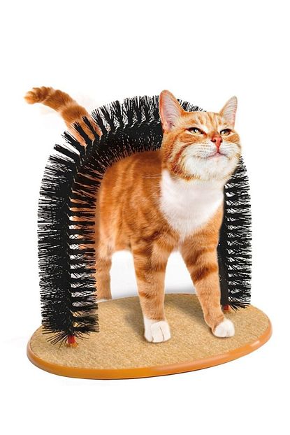 Degerlistore Pratik Kedi Tirmalama Ve Kasima Tahtasi Tirnak Torpuleme Oyuncagi Trendyol