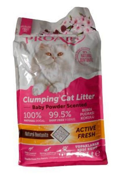 Rocat Kedi Kumu