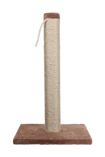 Pet Store Kahverengi Kedi Tirmalama Tahtasi Klasik 50 Cm 003 Trendyol