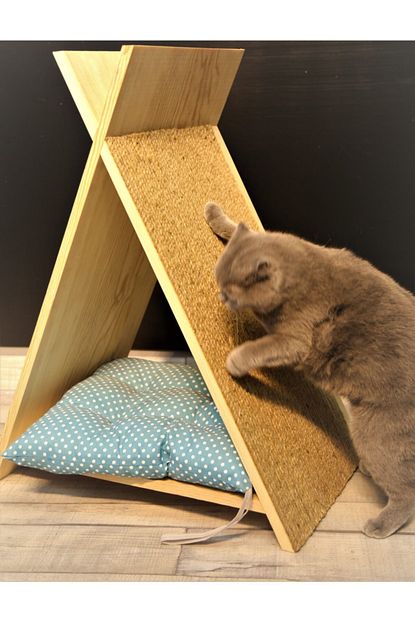 Lacivert Mimarlik Kedi Evi Ucgen Trendyol