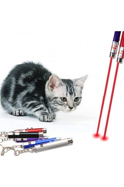 Yabigel Kedi Lazer Oyuncak 2 Asamali 3 In 1 Trendyol