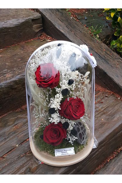 Flores De Rita Jumbo Cam Fanus Icinde 3 Adet Solmayan Gul Trendyol