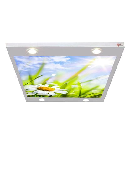 papatya gergi avize 109x80 hayal penceresi hazir gergi tavan