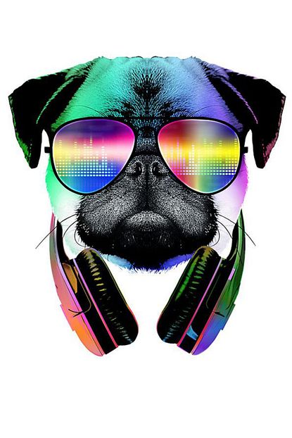 hediyeniburadabul havali gozluklu kopek ahsap poster 20x30 fiyati yorumlari trendyol