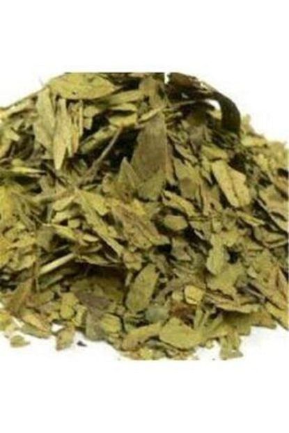 sakiz agaci sinameki yapragi 100 gr
