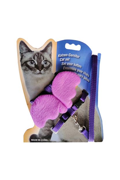 atlantik kanatli melek kedi gogus bel