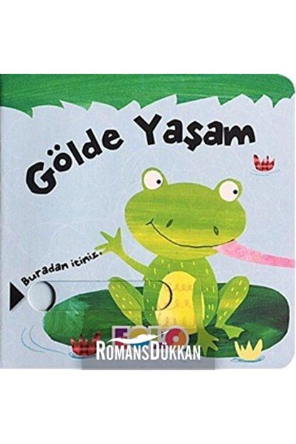 Eolo Yayinlari Hareketli Kitap Golde Yasam Trendyol