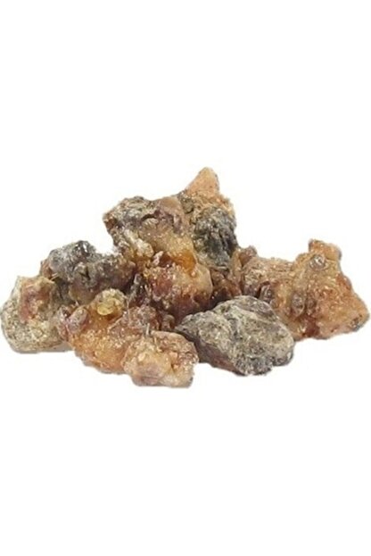 Sakiz Agaci Cam Sakizi 100 G Trendyol