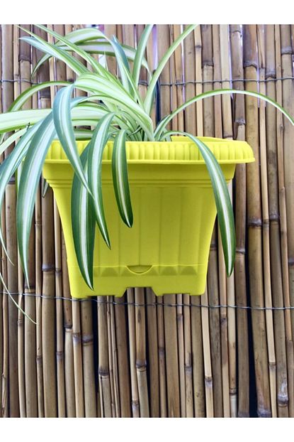 Ekodoga Balkon Saksi 2 2 Lt 5 Adet Fistik Yesili Renkli Saksi Askili Saksi Plastik Saksi Trendyol