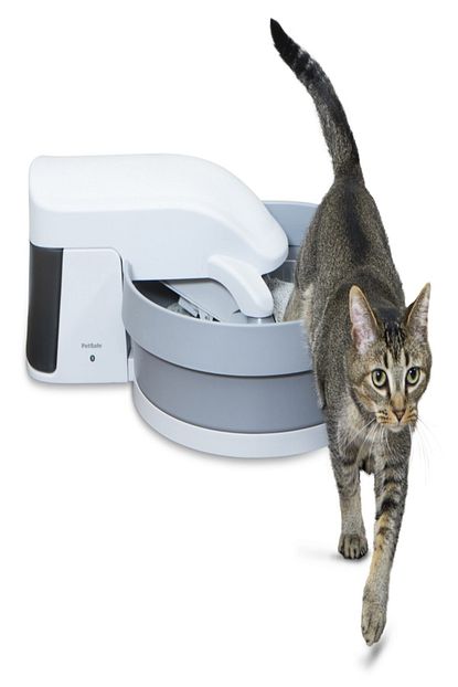 Petsafe Simply Clean Otomatik Kedi Tuvaleti Trendyol