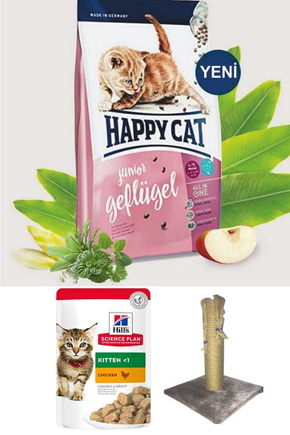 Happy Cat Yavru Kedi Kuru Mama Junior Geflugel 1 4kg Hill S Pouch Kare Tirmalama Hediye Trendyol