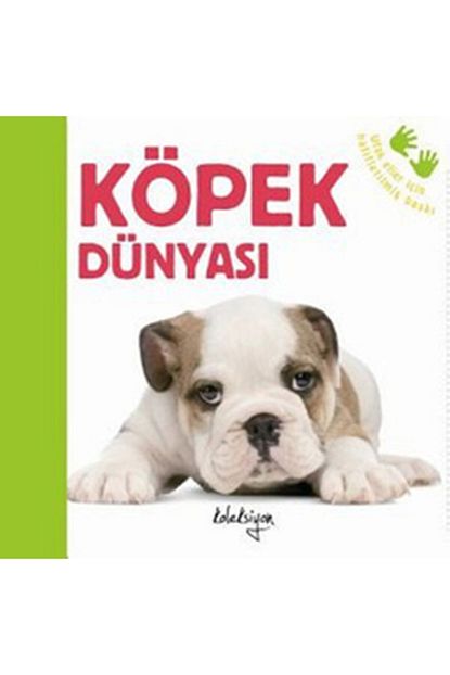 Beta Kids Kopek Dunyasi Trendyol