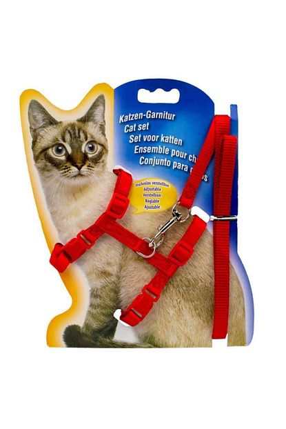 Ans Katzen Kedi Gogus Tasmasi Uzatma 110cm Set Kirmizi Trendyol