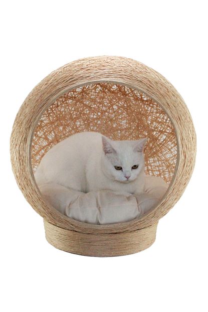 Alpi Kedi Yatagi Minderi Yastigi Yuva Evi Trendyol