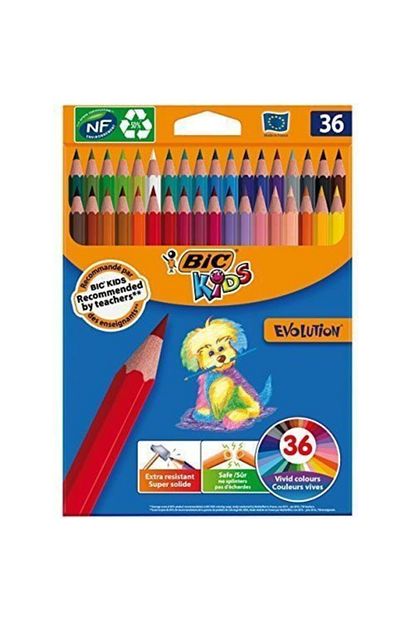 bic evolution kuru boya kalemi 36 li