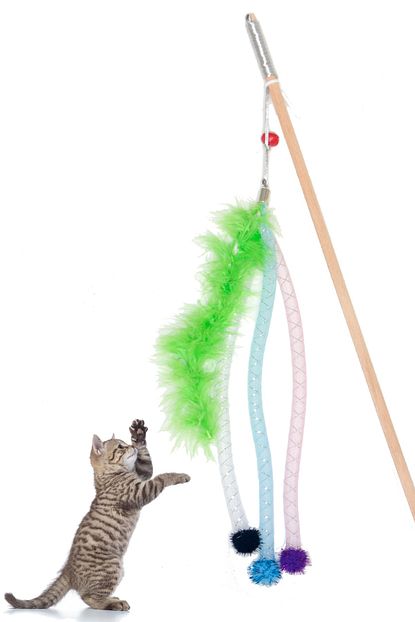 Petviya Ahsap Sapli Dikkat Cekici Tuylu Ve Ipli Kedi Oltasi Oyuncagi 50 Cm No 3 Trendyol