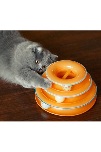 Pazarana Buffer Tower Of Tracks Egleneli Uc Katli Kedi Oyuncagi 2 Li Set Trendyol