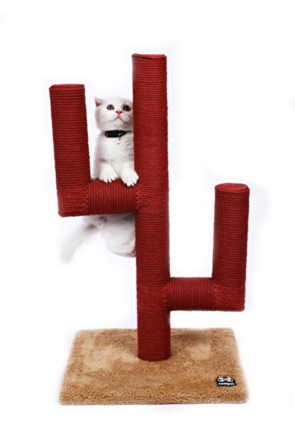 nazzpet kaktus tirmalama tahtasi kirmizi large 80cm fiyati yorumlari trendyol