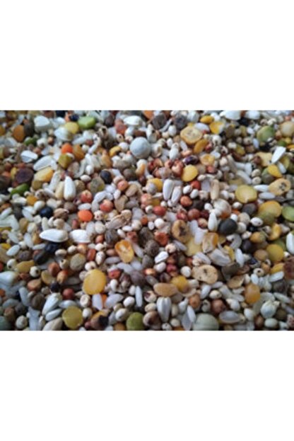 unallartarim 25 kg karisik muhabbet kusu yemi karisik yem muhabbet kusu yemi karisik fiyati yorumlari trendyol