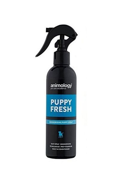 Animology Puppy Fresh Koku Giderici Yavru Kopek Spreyi 250 Ml Trendyol