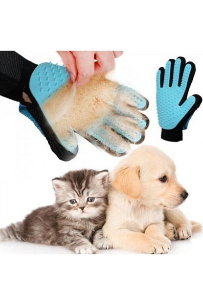 Lion Pet Equipment Kedi Kopek Tuy Toplama Eldiveni Turkuaz Trendyol