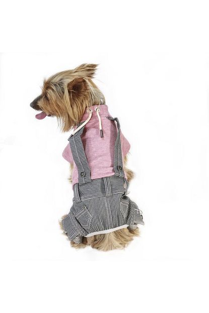 Pawstar Pink Tricot Romper Kopek Tulumu Kiyafeti Medium Trendyol