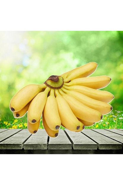hatay yoresel marketim alanya muzu 2 kg fiyati yorumlari trendyol