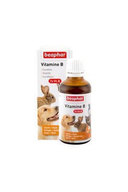 Beaphar Kedi Kopek Kus Icin B Vitamini 8711231136681 Trendyol
