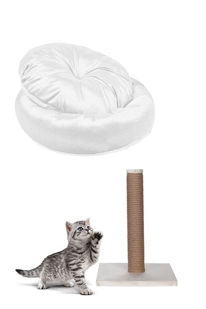 Pet Style Beyaz Kedi Yatagi Ve Kedi Tirmalama Tahtasi Trendyol