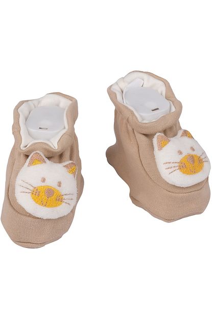 patik kahverengi kedi bebe