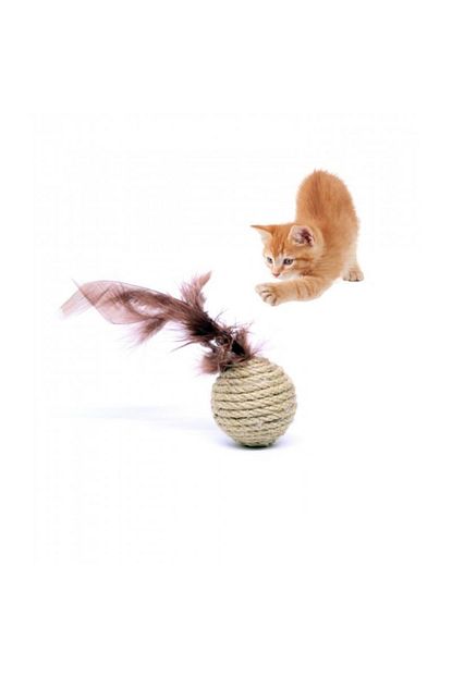 Petviya Tuylu Hasir Top Kedi Oyuncagi 5cm Trendyol