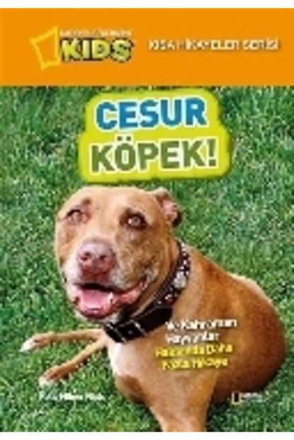 trendyol