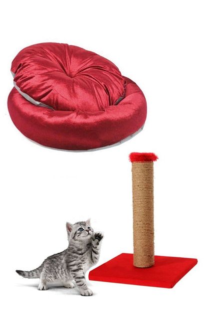 Pet Pretty Kirmizi Kedi Yatagi Ve Kedi Tirmalama Tahtasi Trendyol