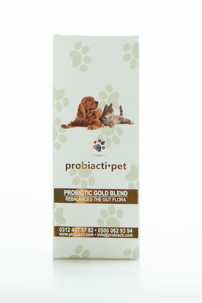 Probiyotik Kedi Mamasi