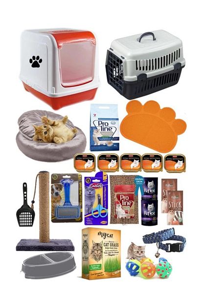 Pet Style Kedi Baslangic 25 Li Paket Trendyol