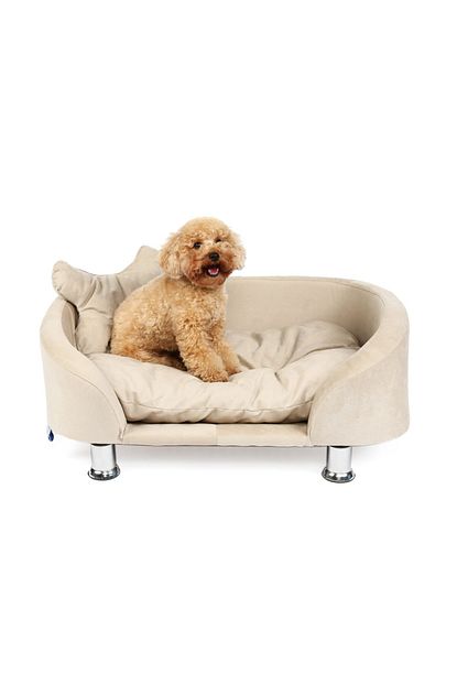 Pet Kybele Kybele Orta Ve Kucuk Irk Kopek Yatagi 80x55 Cm Krem Trendyol
