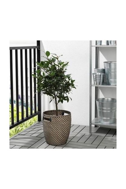 deneme zamani ikea ragkorn saksi naturel fiyati yorumlari trendyol