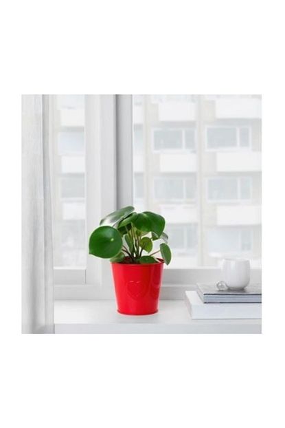 Deneme Zamani Ikea Vinter 2018 Saksi Kirmizi Trendyol