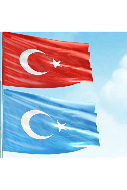 dogu turkistan bayragi turkiye de neden yasak