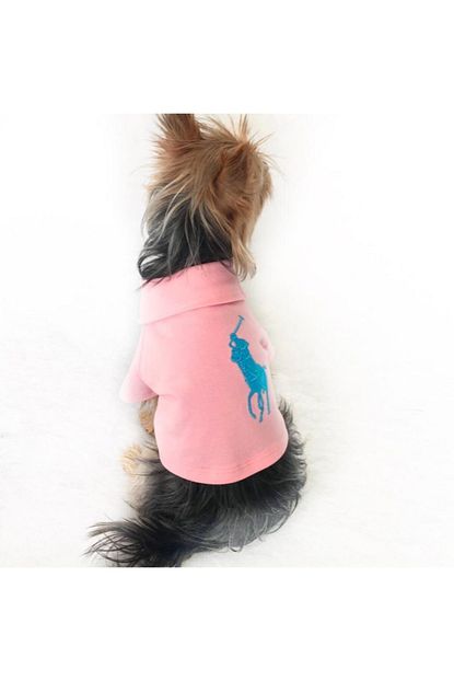 Kemique Pembe Polo Yaka Tisort Kopek Kiyafeti Kopek Elbisesi Trendyol