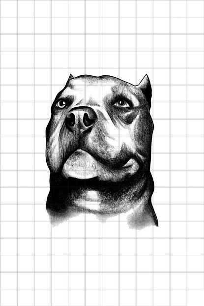 Tatfast Pit Bull 58 Gecici Dovme Flash Tattoo Trendyol