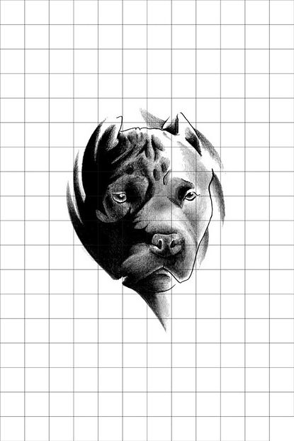 tatfast pit bull 65 gecici dovme flash