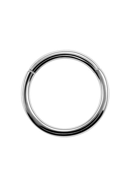 Vipbt Gumus Gri Menteseli E G23 Titanyum Kikirdak Burun Halkasi Hizma Piercing 1 6x10 Mm Trendyol