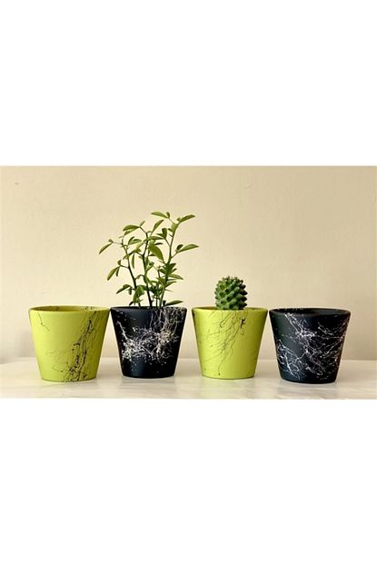 Topsan Mermer Desenli Siyah Ve Yesil Saksi 10cm 4 Lu Trendyol