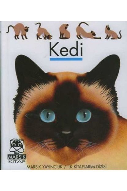 Marsik Yayincilik Ilk Kitaplarim Dizisi 04 Kedi Trendyol