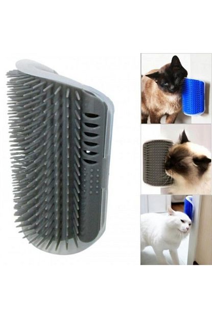 Maxi Life Kapi Kenari Kedi Kasinma Taragi Trendyol
