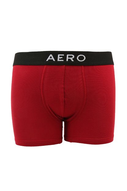 Aeropostale Erkek Boxer Boyner Trendyol