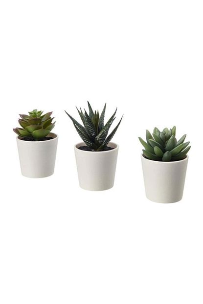 Barbun Fejka Kaktus 3 Lu Set 6 Cm Yapay Bitki Cicek Saksili Kaktus Trendyol