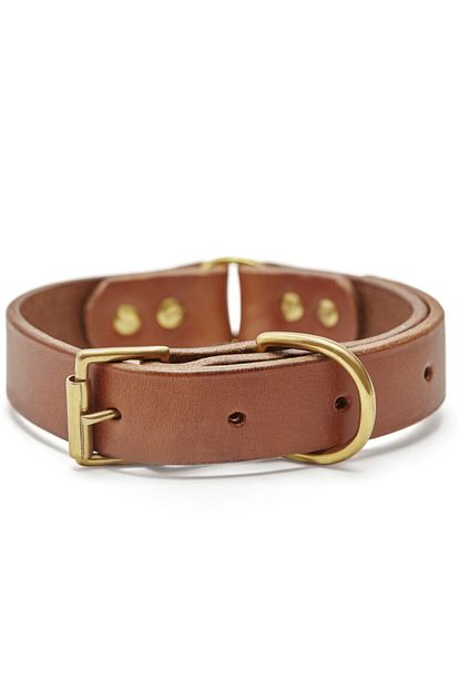 Ca Leather Acoma El Yapimi Gercek Deri Kopek Tasmasi Trendyol