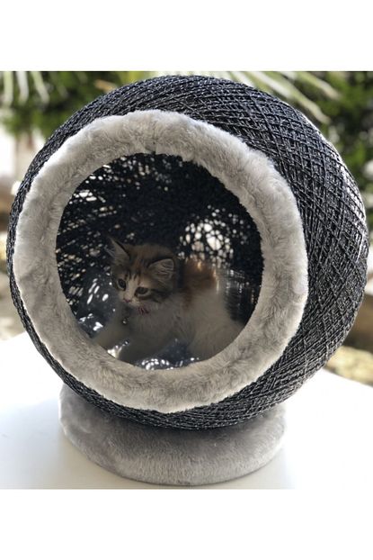 Bykozha Kedi Kure Yuva Trendyol
